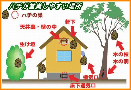 営巣しやすい場所
